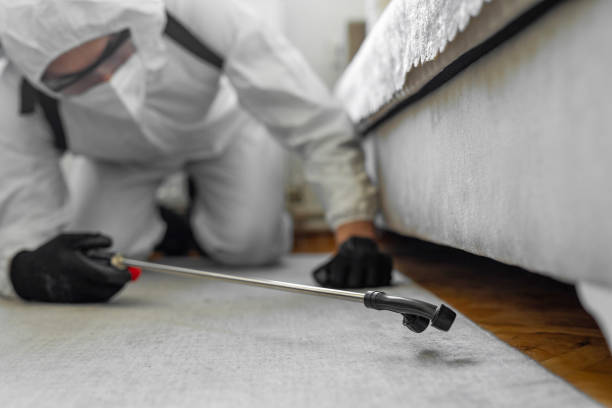 Professional Bed Bug Control technician working in Wesley Hills, NY