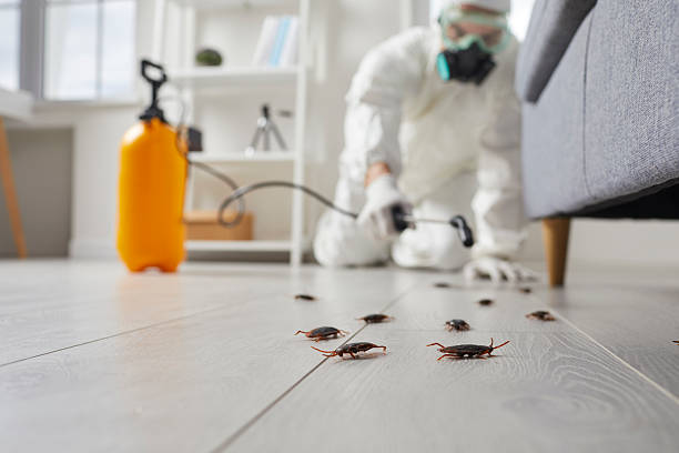 Trusted Cockroach Control service in Wesley Hills, NY - Nex Pest Control
